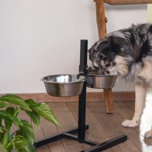 Beeztees Standaard – Dinerset Hond – Zwart – 25 cm