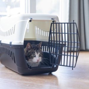 Beeztees Gypsy – Reismand – Creme/Antraciet – 58x38x33 cm