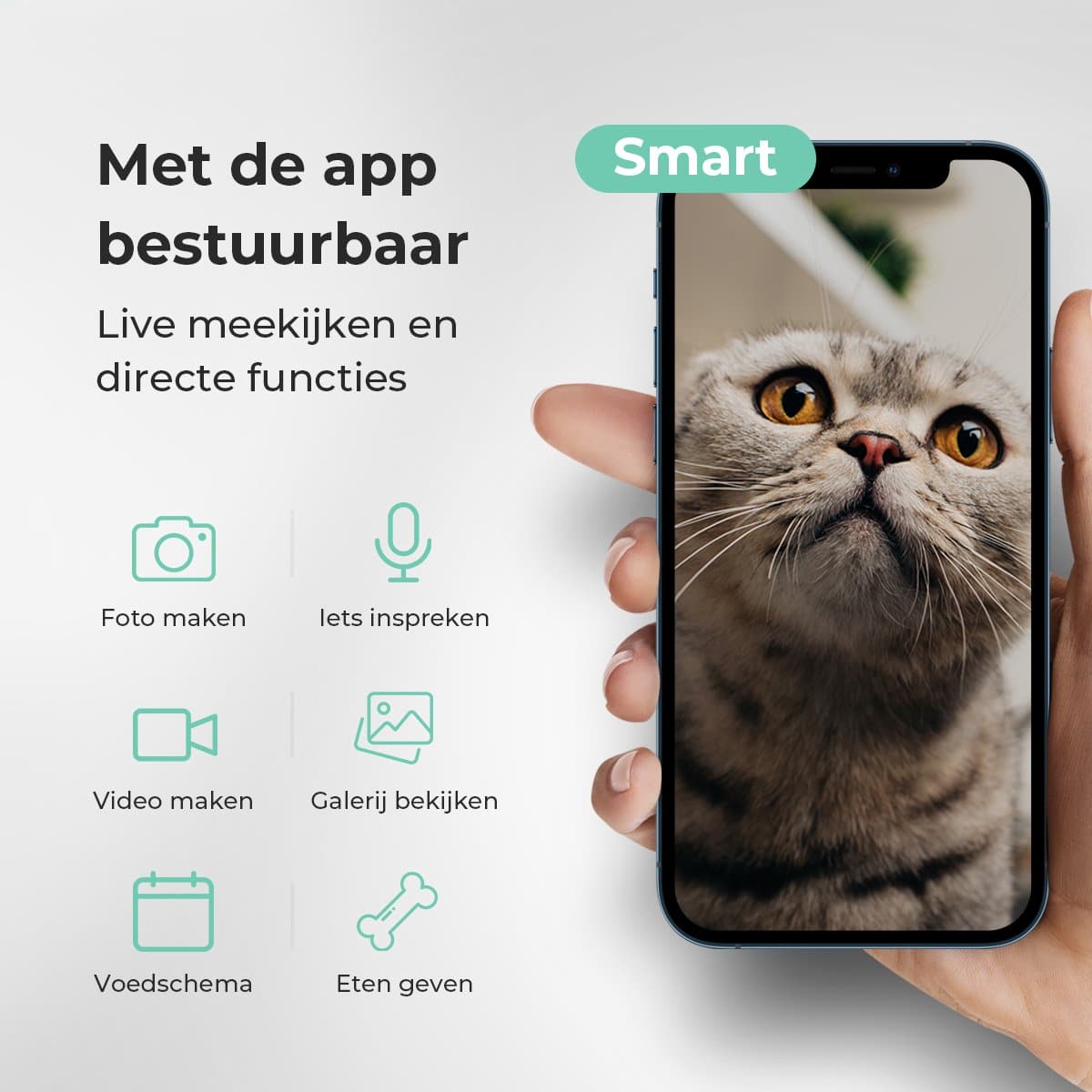 Cellavi Automatische Voerbak Kat en Hond – Voerautomaat Dispenser met App en Camera – RVS Voerbak Kat & Hond – 6 L – Zwart - Afbeelding 9