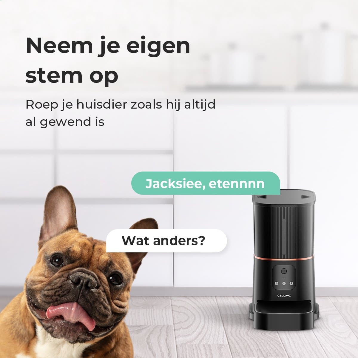 Cellavi Automatische Voerbak Kat en Hond – Voerautomaat Dispenser met App en Camera – RVS Voerbak Kat & Hond – 6 L – Zwart - Afbeelding 5
