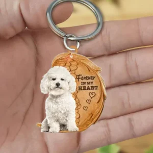 Bichon Frise | Voor Altijd in Mijn Hart