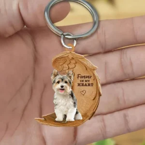 Biewer Yorkshire Terrier | Voor Altijd in Mijn Hart