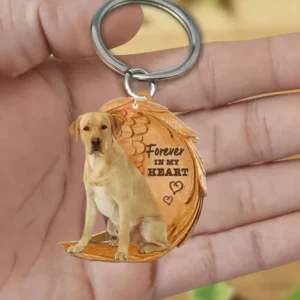 Blond Labrador | Voor Altijd in Mijn Hart