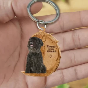 Bouvier des Flandres 3 | Voor Altijd in Mijn Hart