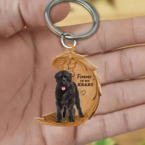 Bouvier des Flandres | Voor Altijd in Mijn Hart