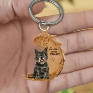 Cairn terrier 1 | Voor Altijd in Mijn Hart