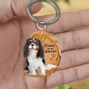 Cavalier King Charles Spaniel | Voor Altijd in Mijn Hart
