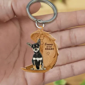 Chihuahua | Voor Altijd in Mijn Hart