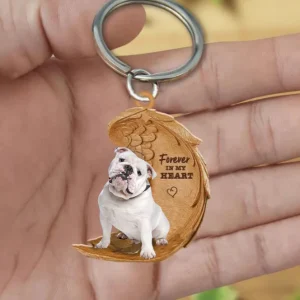 Engelse Bulldog Wit | Voor Altijd in Mijn Hart