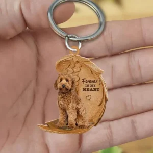 Labradoodle | Voor Altijd in Mijn Hart