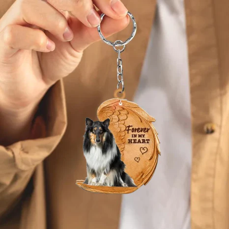 Langharige Collie (Rough Collie) | Voor Altijd in Mijn Hart - Afbeelding 3