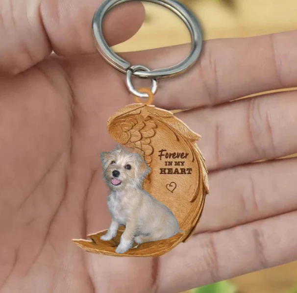 Malti-Pin Mix Dwergpincher x Maltezer | Voor Altijd in Mijn Hart - Afbeelding 2