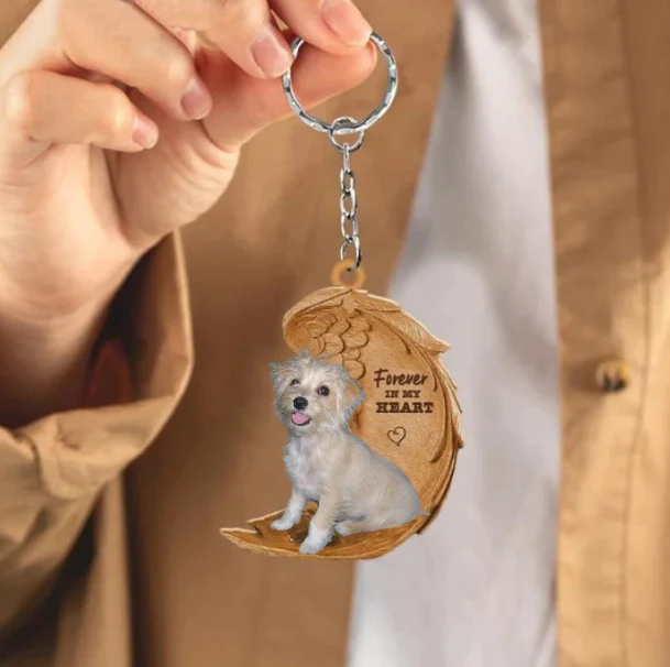 Malti-Pin Mix Dwergpincher x Maltezer | Voor Altijd in Mijn Hart - Afbeelding 3