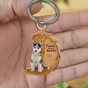 Siberian Husky | Voor Altijd in Mijn Hart