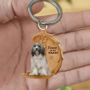 Tibetaanse terriër 2 | Voor Altijd in Mijn Hart