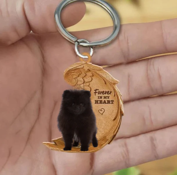 Zwarte Pomeranian keeshond | Voor Altijd in Mijn Hart - Afbeelding 2