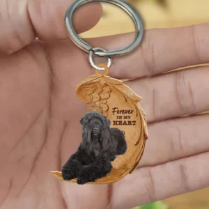 Zwarte Russische terriër | Voor Altijd in Mijn Hart