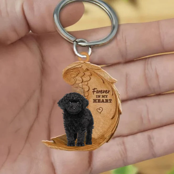 Zwarte Toy Poodle 2 | Voor Altijd in Mijn Hart - Afbeelding 2