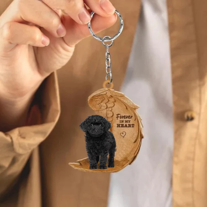 Zwarte Toy Poodle 2 | Voor Altijd in Mijn Hart - Afbeelding 3